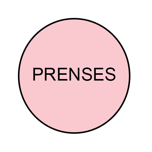 OTTOMAN PLASTiK PRENSES - 20 kg