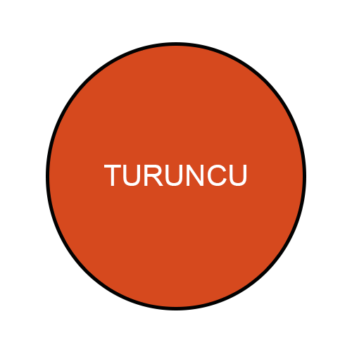 SONKAT TURUNCU - 0,25 L