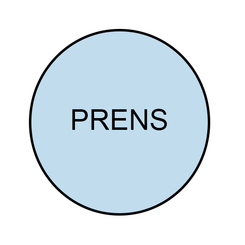 EUROPLUS PRENS - 15 L